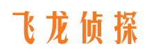 南召市私家侦探公司